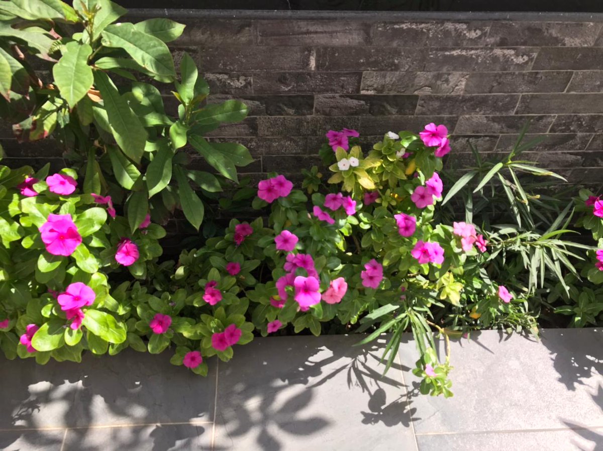 PaNaDoL7454's tweet image. Today #clicked 💞😲