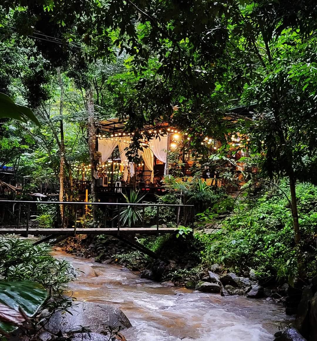 readme.me Thai tweet media