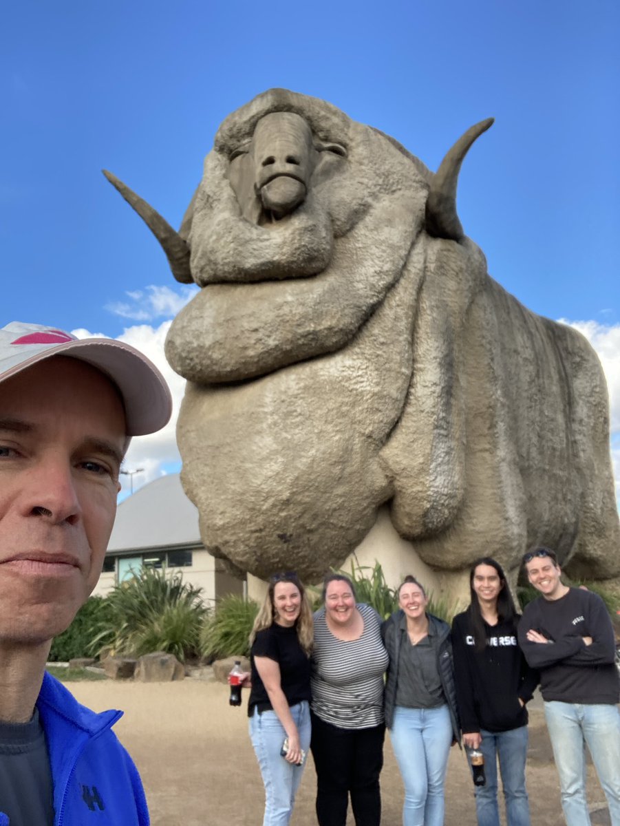 Newcastle Cognition Lab tweet media