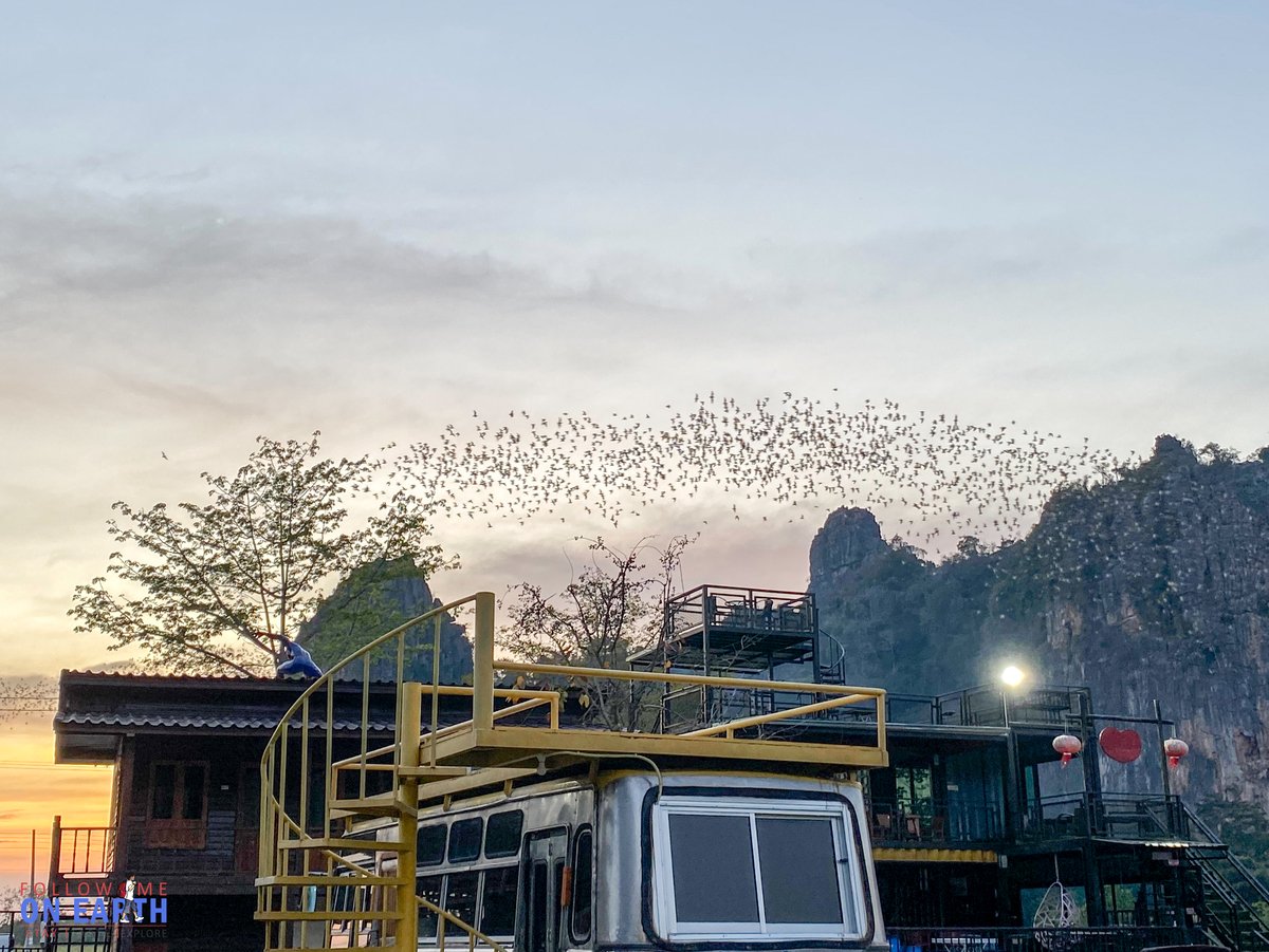 readme.me Thai tweet media