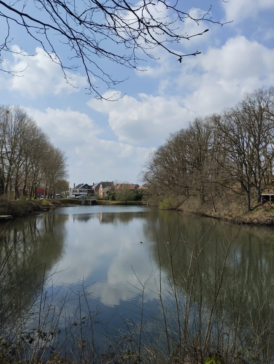 Starting a new life in Diest, Belgium