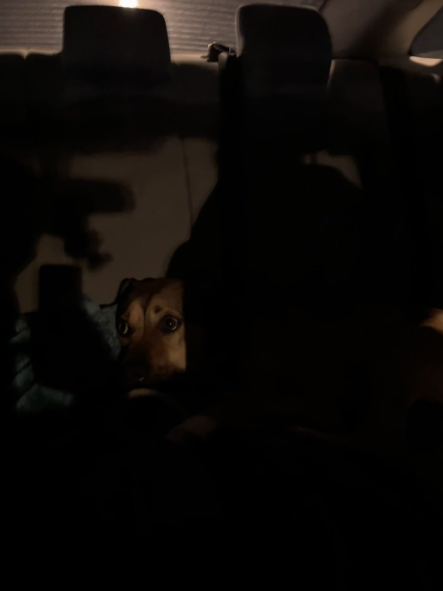 abicakes_'s tweet photo. Lilah appreciation post https://t.co/60Zv6OabCk