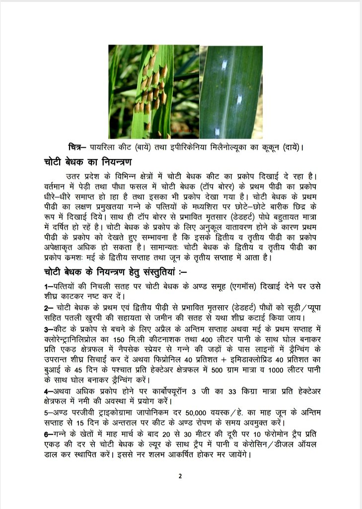 "पायरिला व चोटी बेधक के नियंत्रण हेतु दिशा- निर्देश"
#upcane #advisory #keet