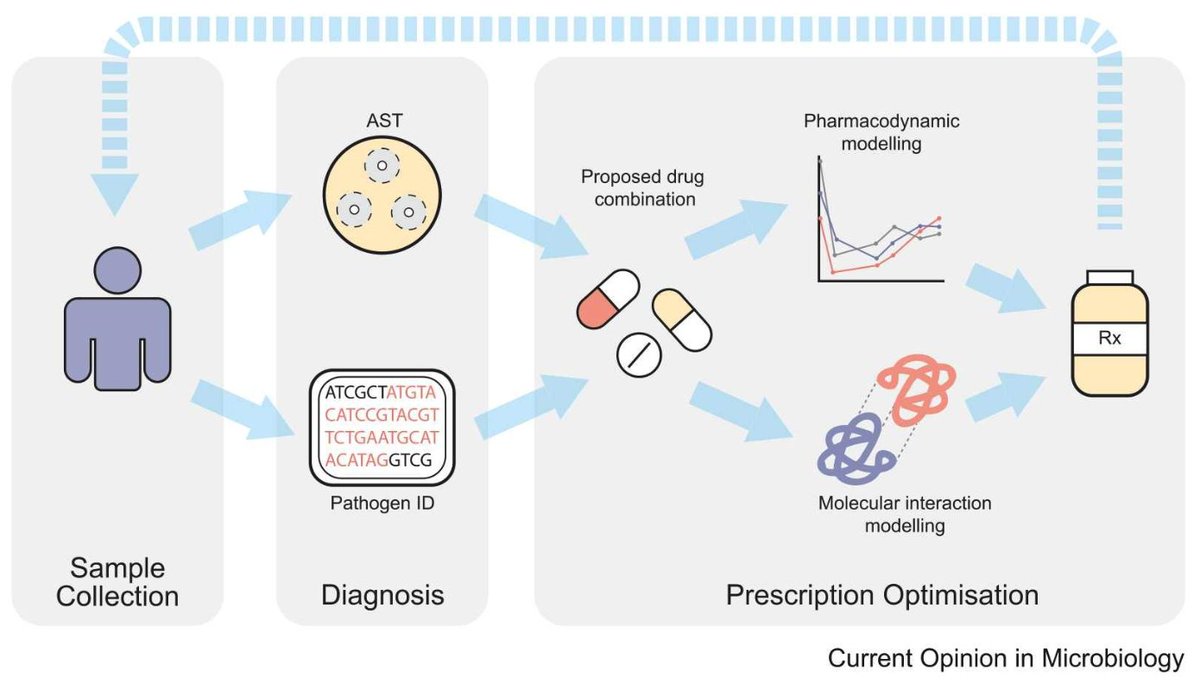 tvatanen's tweet image. A new review "Addressing antibiotic resistance: computational answers to a biological problem?" with Anna Behling @DrJOSull @Brooke_C_Wilson @mpjvirta and Daniel Ho. Possibilities to guide antibiotic stewardship and future clinical decision-making by AI sciencedirect.com/science/articl…