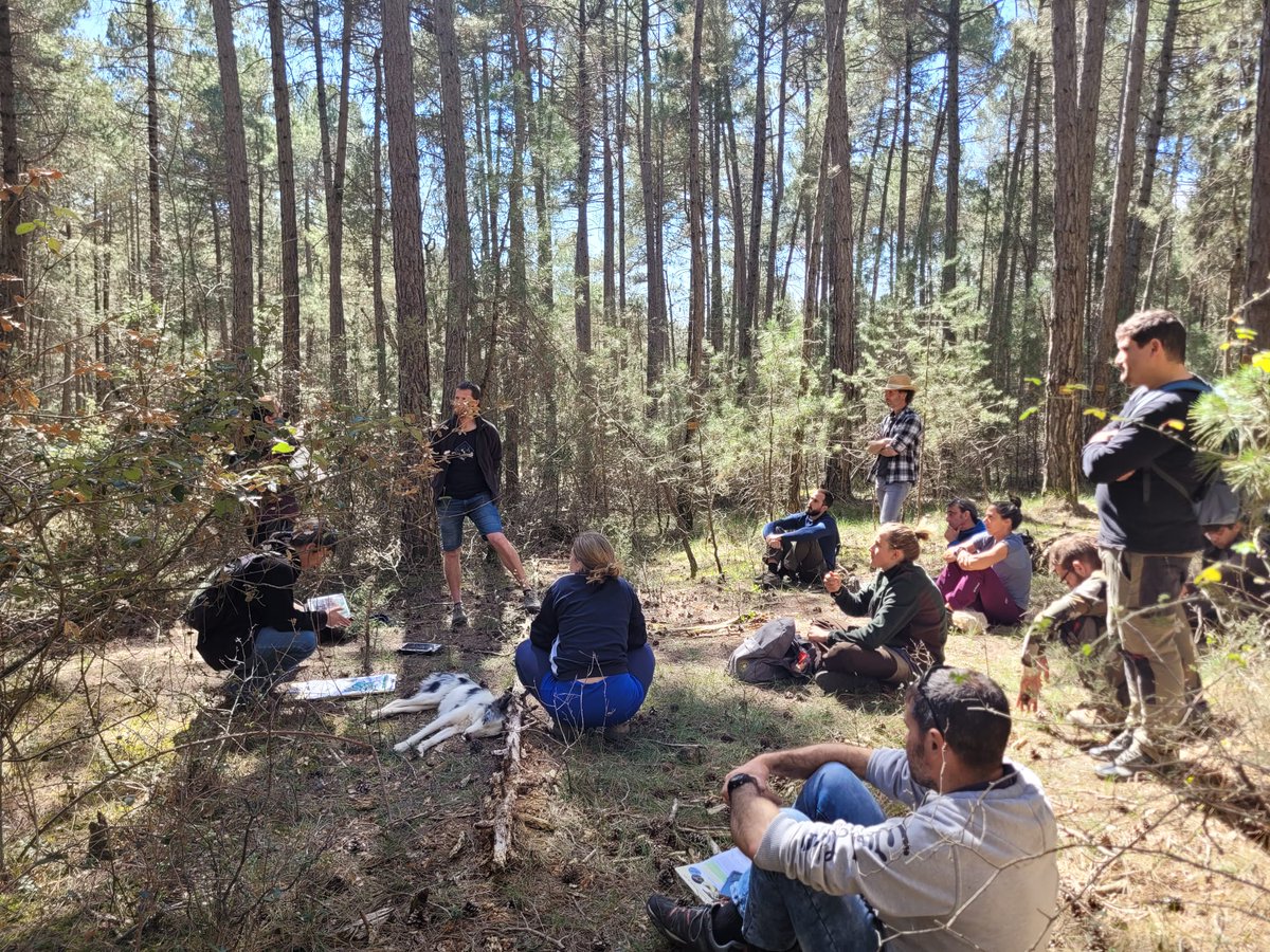 Hemos aprendido un montón de la experiencia en el aula de transferencia de la Ribera Salada, donde hemos discutido criterios de tala y de como integrar criterios de #biodiversidad. 
#marteloscope #IntegrateNetwork
@accioclimatica @cpforestal