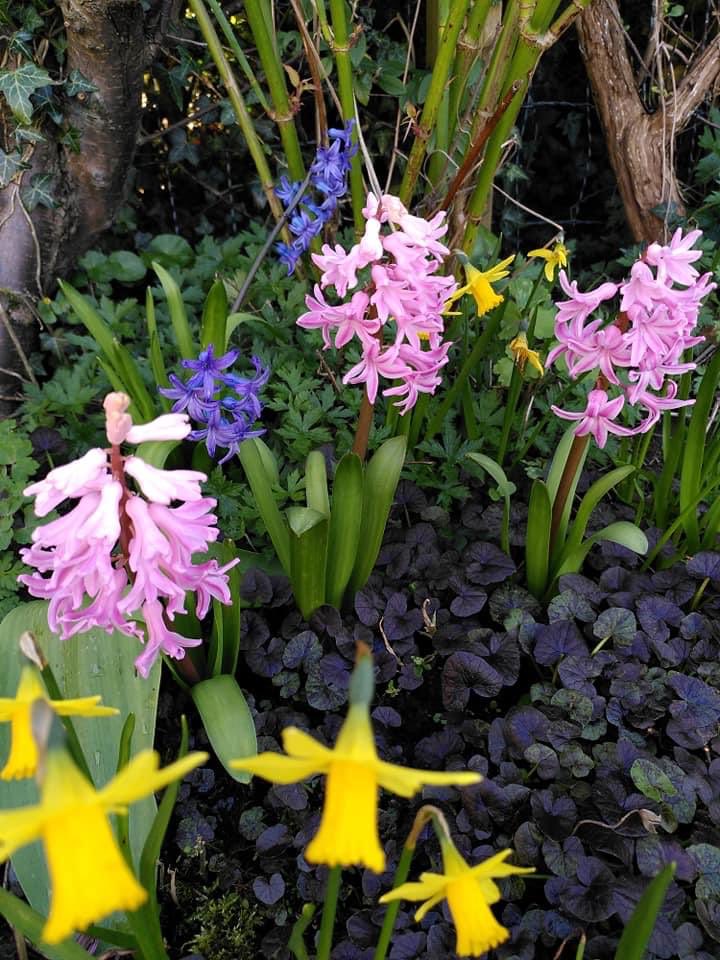 “Sitting quietly doing nothing, spring comes.
Grass grows by itself.”

Zen Sand 10.177