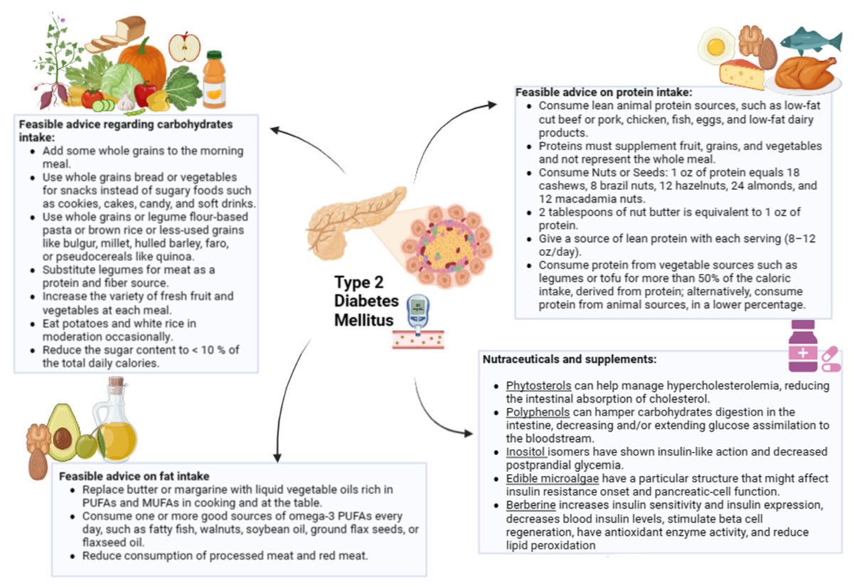 Comprehensive Approach to Medical #Nutrition Therapy in Patients with Type 2 #Diabetes Mellitus: From #Diet to Bioactive Compounds
mdpi.com/2239530