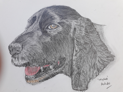 PSPAssociation's tweet photo. 🎨 We are thrilled to introduce Alan Nicholls, an incredibly talented artist and a future volunteer for PSPA. 

You can find Alan on social media by searching his handle @alannichollsprints or his name. 

#supportPSPA #petportraits#artforacause #coloredpencilart #artlovers #PSPA https://t.co/pLjjvJpLXL