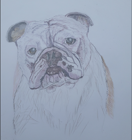 PSPAssociation's tweet photo. 🎨 We are thrilled to introduce Alan Nicholls, an incredibly talented artist and a future volunteer for PSPA. 

You can find Alan on social media by searching his handle @alannichollsprints or his name. 

#supportPSPA #petportraits#artforacause #coloredpencilart #artlovers #PSPA https://t.co/pLjjvJpLXL
