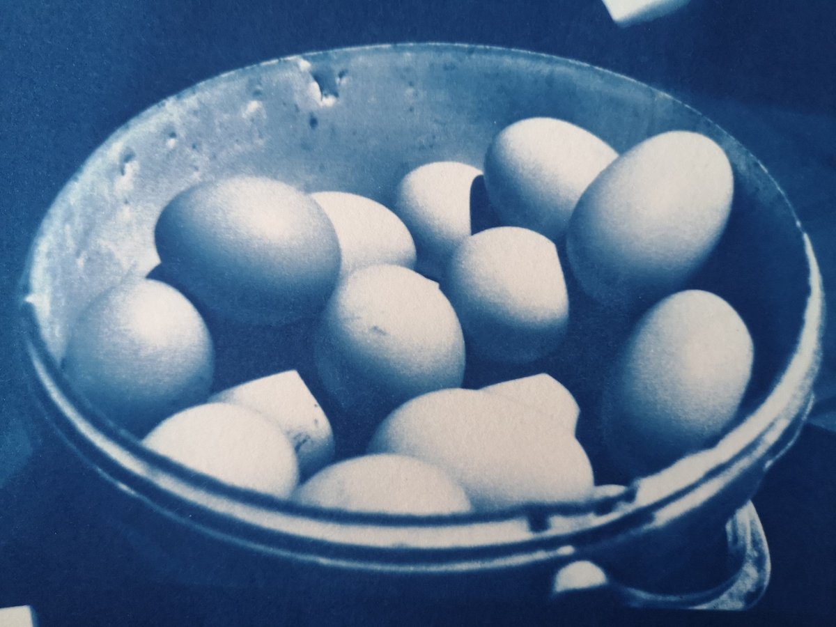 polskipoeta's tweet photo. #cyanotypes #blue is my fav colour 😍 https://t.co/uuI8JbB3wY