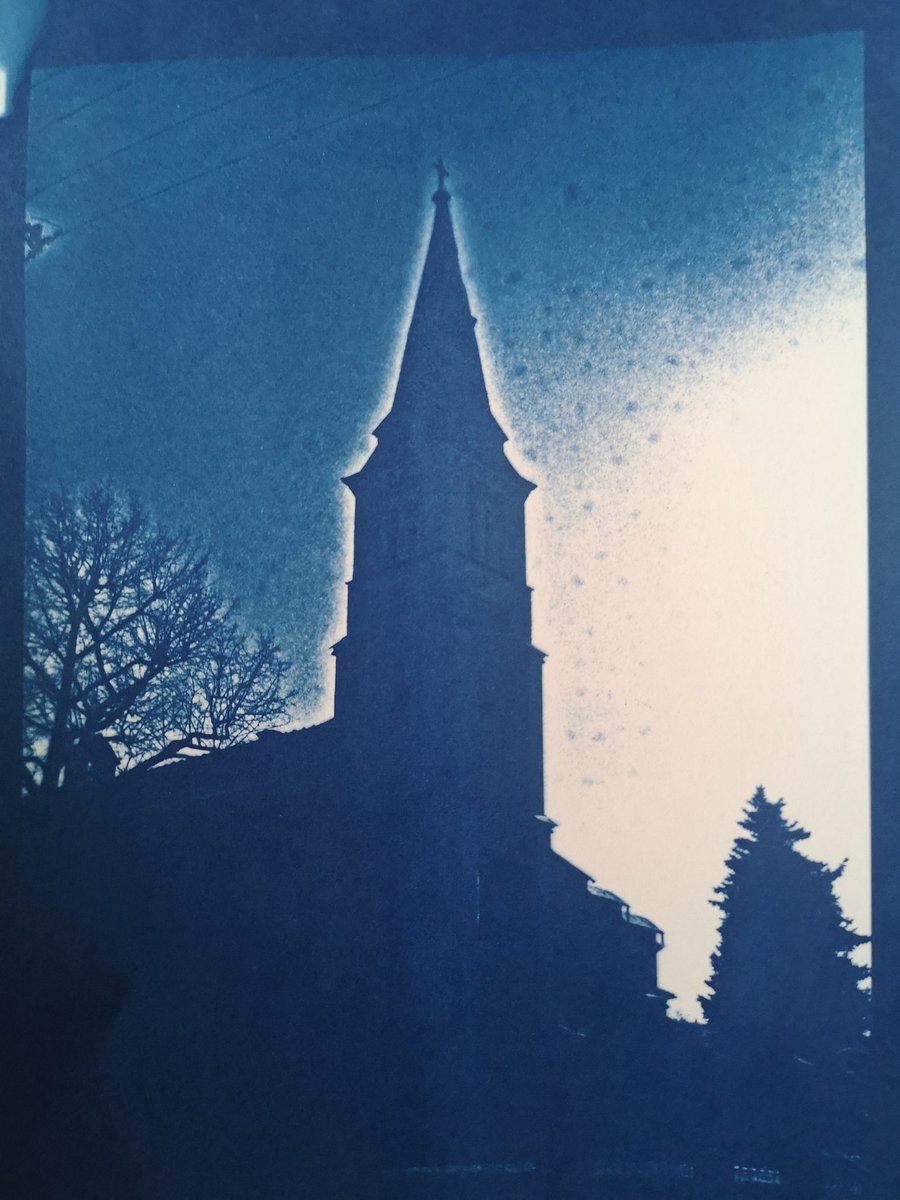 polskipoeta's tweet photo. #cyanotypes #blue is my fav colour 😍 https://t.co/uuI8JbB3wY
