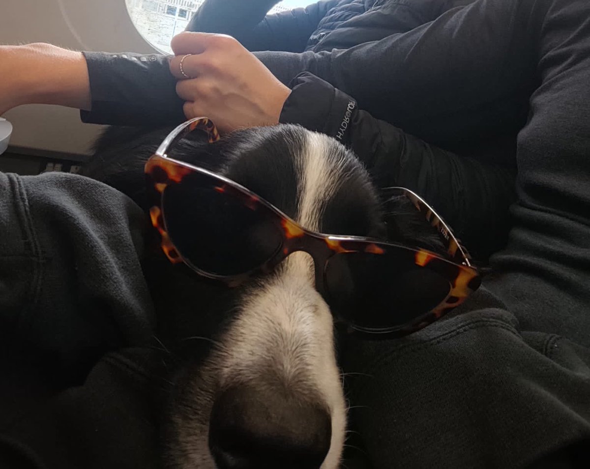 binahcooper's tweet photo. @GWRHelp https://t.co/a4fRdftfis