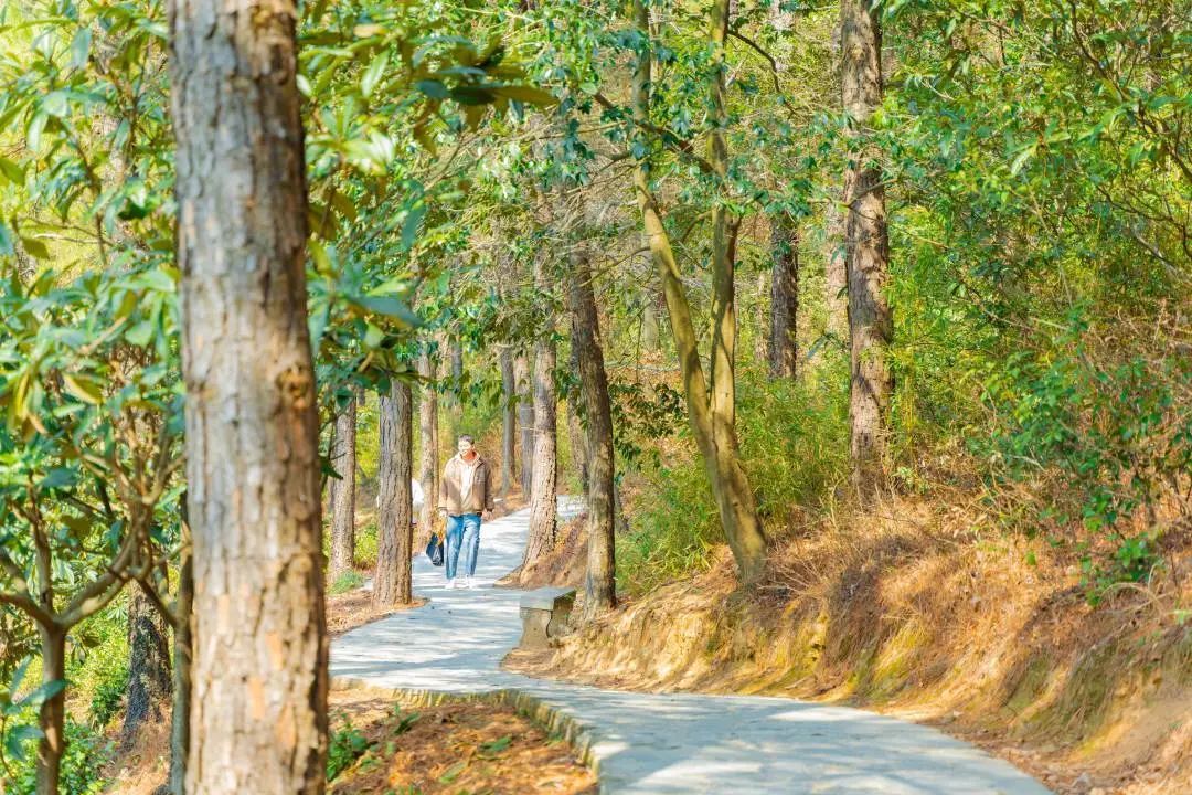 SuzhouWuzhong's tweet photo. From walking along the clear Yinshan Lake🌊 and soaking up the breathtaking lakeside scenery🌸🌿 to hiking through the lush forests🌲 on Qizi Mountain, don't hesitate to have a weekend date with #spring in #Wuzhong district, #Suzhou to fully relax and rewind.❤️ https://t.co/3xdcRdGK8k