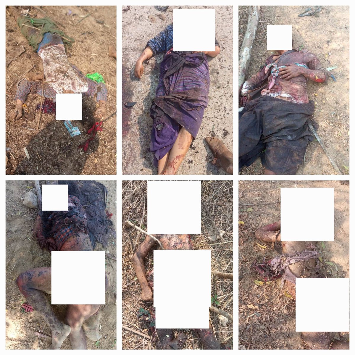 Winter Bear 🦋🇲🇲 tweet media