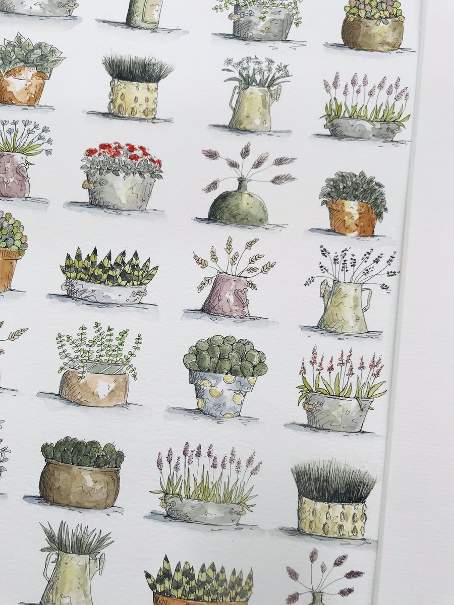 danieljac175's tweet photo. A4 'Plants' original watercolour illustration. All 28 miniature plants in one picture! £45 plus p&amp;p #pottedplant #plant #garden #cactus #roses #lavandar #countryliving #countryinteriors #illustrator #allyouneedislove https://t.co/islltBQSr5