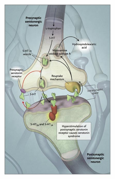 PharmApp tweet media