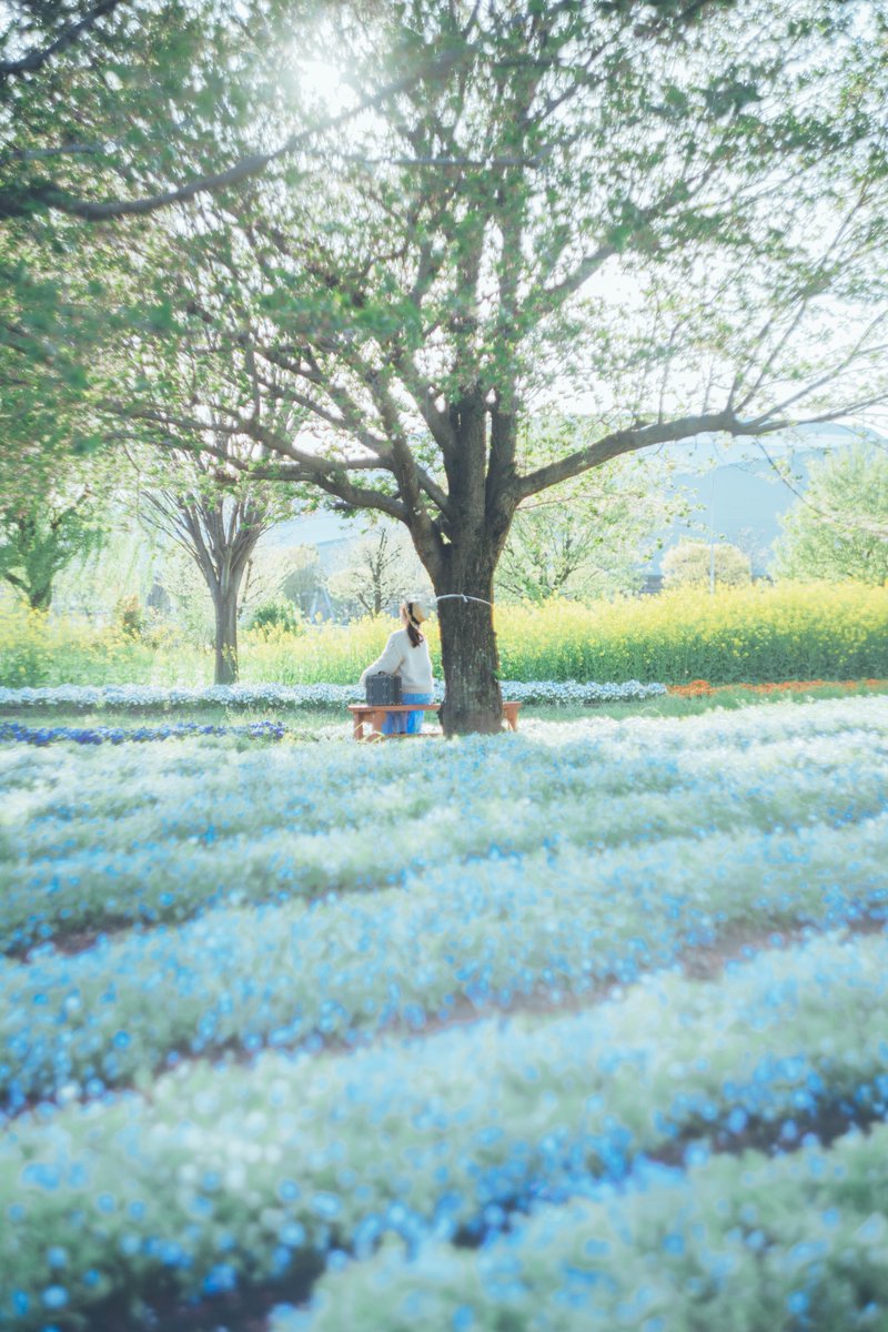 sako_photo's tweet photo. 熊谷スポーツ文化公園。

#私が撮りたかった埼玉県 https://t.co/JcGWDfbZhm