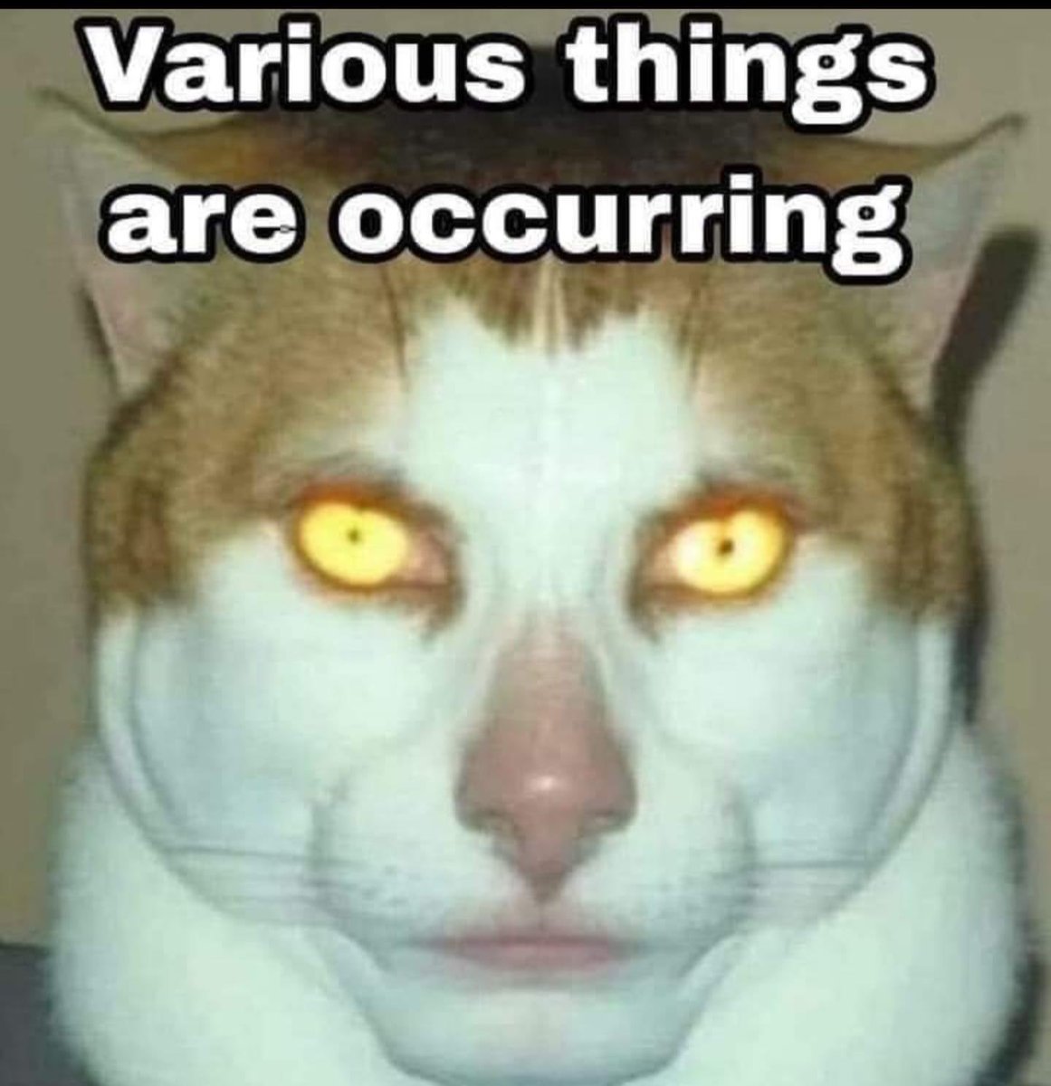 mick_avo's tweet photo. @bigfatmoosepssy https://t.co/6d6qOoY9JA