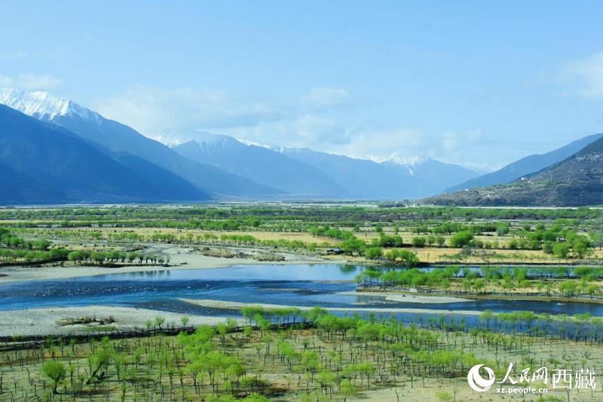 TibetNews11's tweet image. #molte #facce dello #sviluppo tra #Qinghai e #Tibet