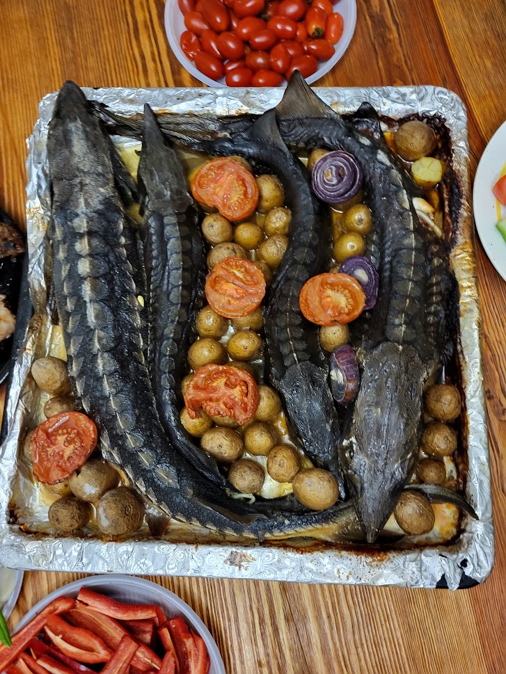 Jan Tofl tweet media