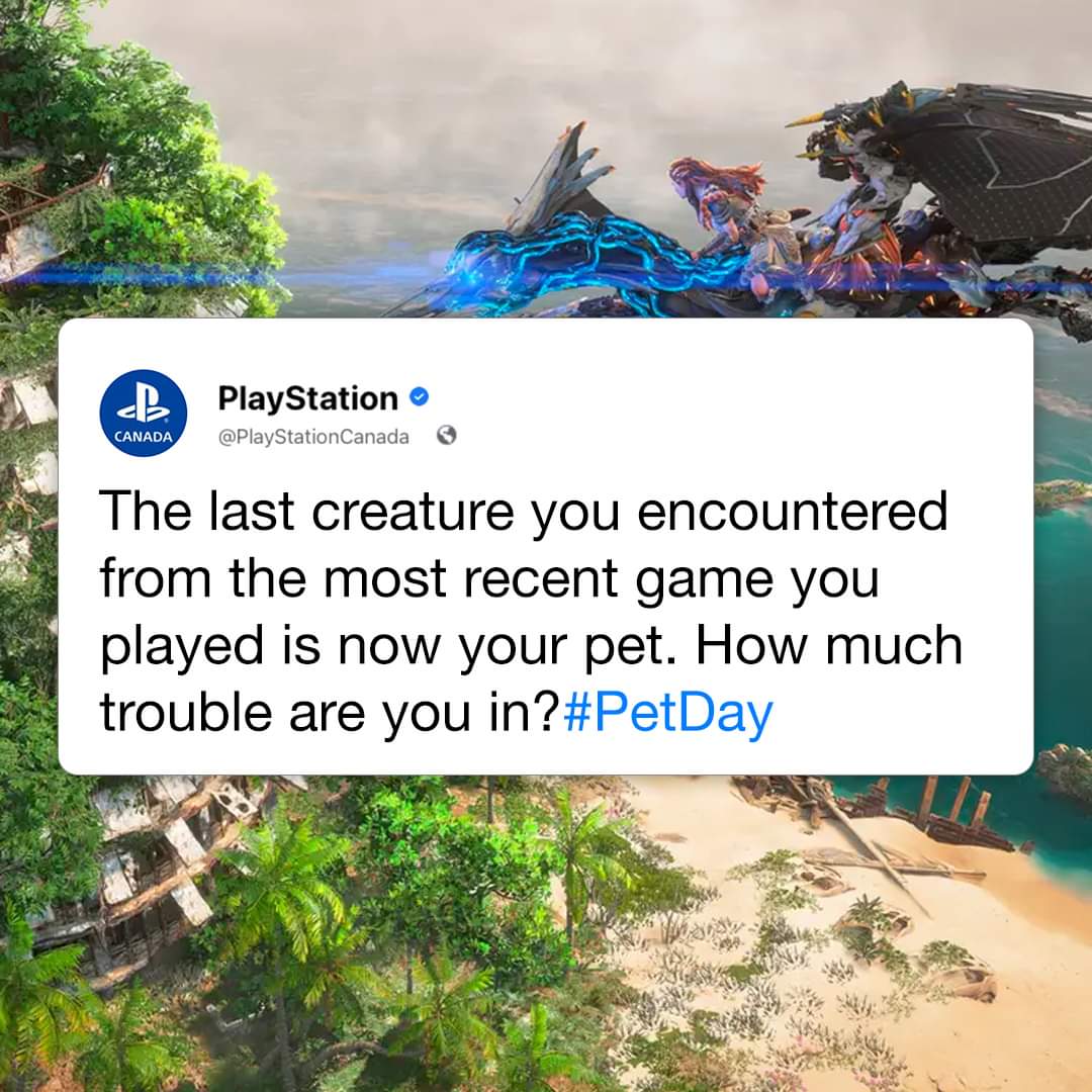 ChaoticFear19 tweet media