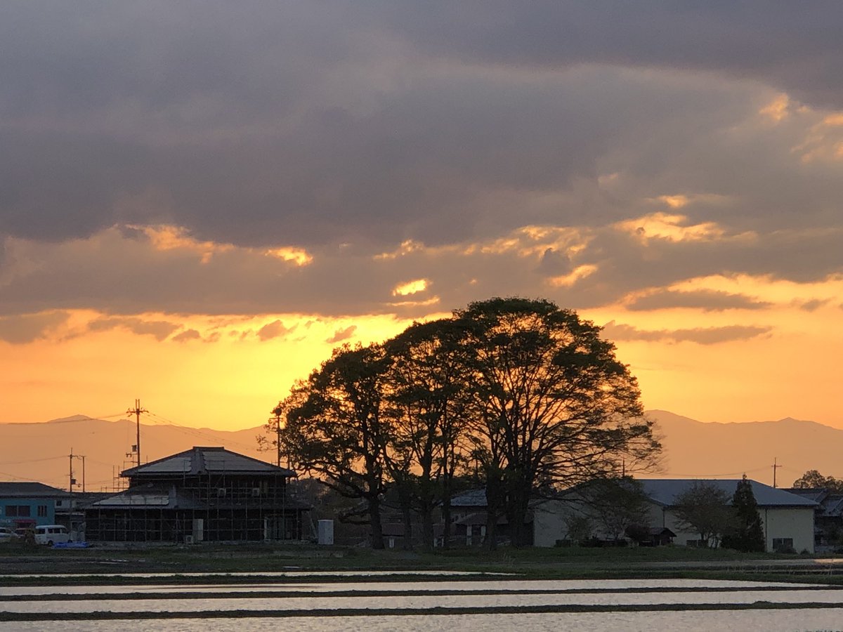 hiace9990's tweet photo. 健康診断で肝臓が悪いらしいです https://t.co/B1xUXmF0iy