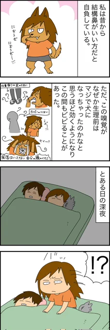 謎パワー 