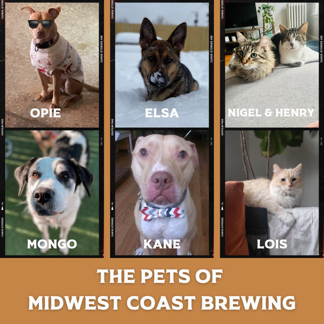 Midwest Coast Brewing tweet media