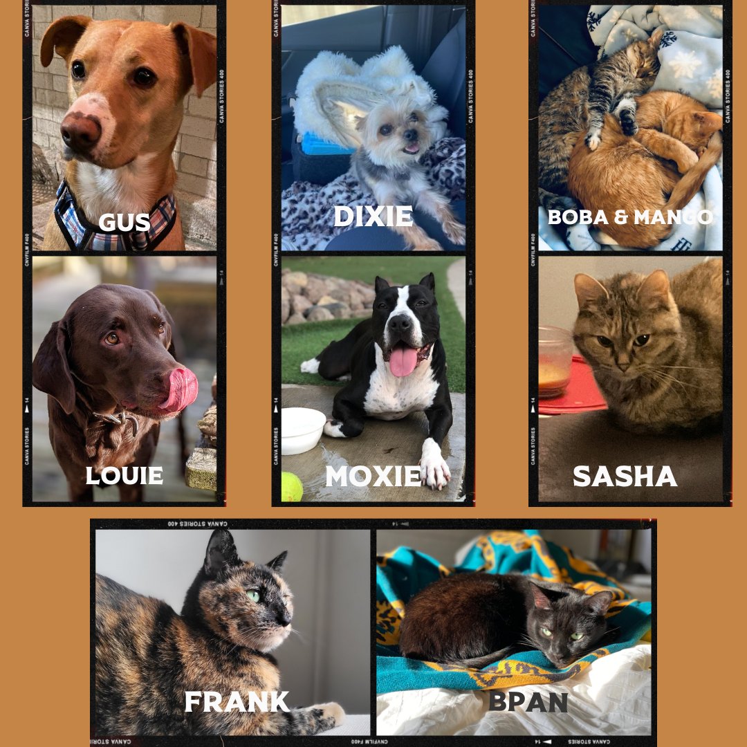 For #nationalpetday, we wanted to highlight the pets of our team that you might see around the taproom!