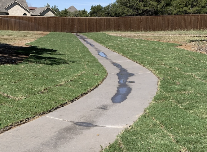 Lee_Since1971's tweet photo. Lee is trained to implement drainage solutions to remedy existing issues and ensure optimal soil moisture levels across your property. This is a finished drainage project done recently in DFW. Call our office today to schedule a consultation! https://t.co/DRpydfhkC1