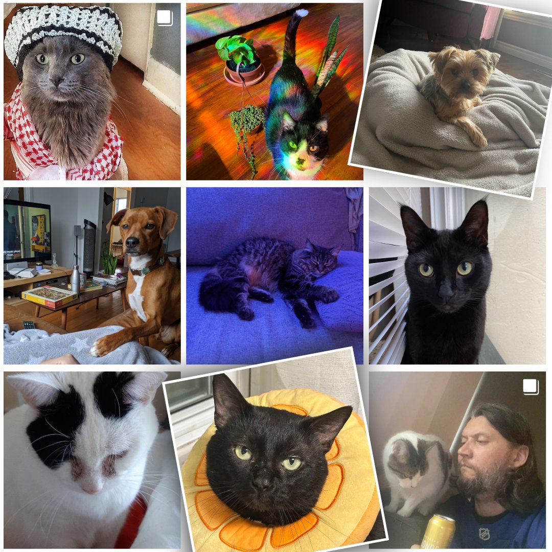 We want to celebrate all the furry friends who bring joy, love, and laughter into our lives. And that includes the pets of our fantastic staff. 🐱🐶  With Petcard's veterinary financing, you can help your pet get the care they need.  Apply today: petcard.ca #PetDay
