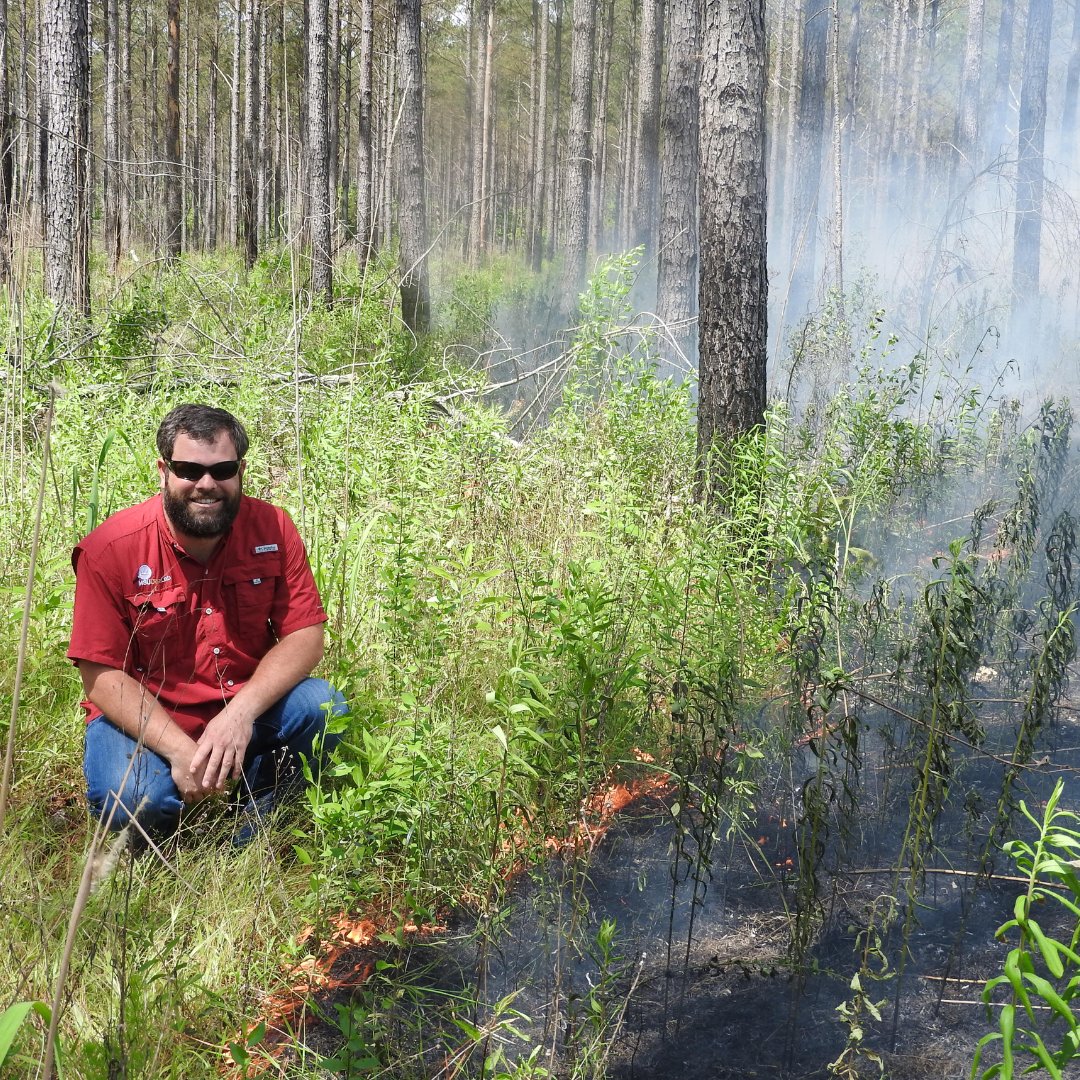 UF IFAS Wildlife (@ufwildlife) on Twitter photo 🎉 CONGRATS Dr. Lashley aka <a href="/DrDisturbance/">Marcus Lashley</a>! 🎉
Recipient of 3 awards from ANREP:
🏆 Gold Award for NRU Podcast Network
🏆 Gold Award for Online Prescribed Fire Course
🏆 Outstanding Regional Collaborator for Online Prescribed Fire Course
Well done! 👏👏👏
<a href="/NR_University/">Natural Resources University</a> 🎉 CONGRATS Dr. Lashley aka <a href="/DrDisturbance/">Marcus Lashley</a>! 🎉
Recipient of 3 awards from ANREP:
🏆 Gold Award for NRU Podcast Network
🏆 Gold Award for Online Prescribed Fire Course
🏆 Outstanding Regional Collaborator for Online Prescribed Fire Course
Well done! 👏👏👏
<a href="/NR_University/">Natural Resources University</a>