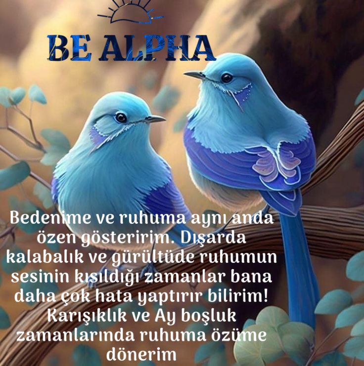 Mine Ölmez (Astrolog) on Twitter: "Bugün 13.47’den beri Ay boşlukta. Bu