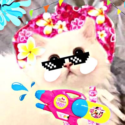 แปลงร่างเป็นแมวเล่นสงกรานต์ละกัน #.NewProfilePic