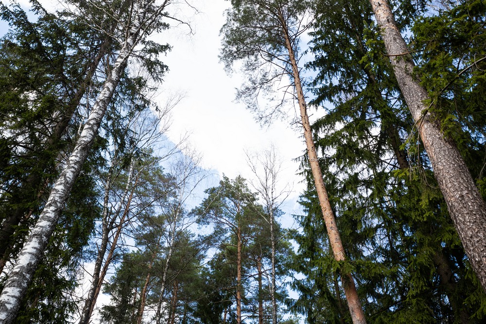 CM_Belarus's tweet photo. 🌼🌞Апрель в нашем парке
🌼🌞四月的园区

#一带一路 #经济 #金融 #投资 #中白工业园 #中国 #白俄罗斯 #beltandroad #economy #finance #investment #GreatStone #IndustrialPark #Belarus #China #business #Китай #Беларусь #ИндустриальныйПарк #ВеликийКамень #поясипуть #инвестиции #экономика https://t.co/cQezMqlzt1
