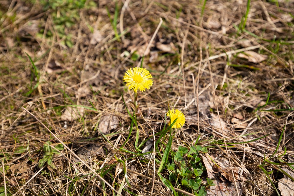 CM_Belarus's tweet photo. 🌼🌞Апрель в нашем парке
🌼🌞四月的园区

#一带一路 #经济 #金融 #投资 #中白工业园 #中国 #白俄罗斯 #beltandroad #economy #finance #investment #GreatStone #IndustrialPark #Belarus #China #business #Китай #Беларусь #ИндустриальныйПарк #ВеликийКамень #поясипуть #инвестиции #экономика https://t.co/cQezMqlzt1