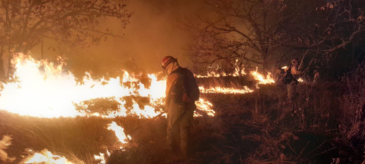 Jonathan Lomelí tweet media