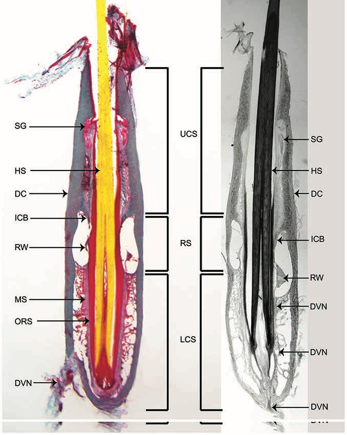 Christopher Marshall tweet media