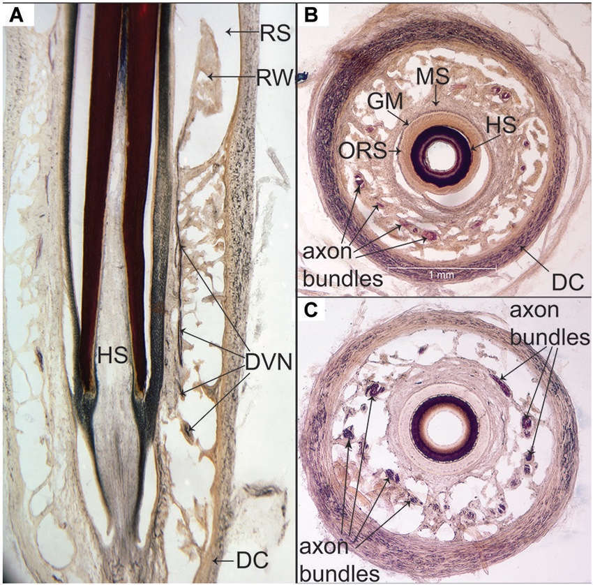 Christopher Marshall tweet media