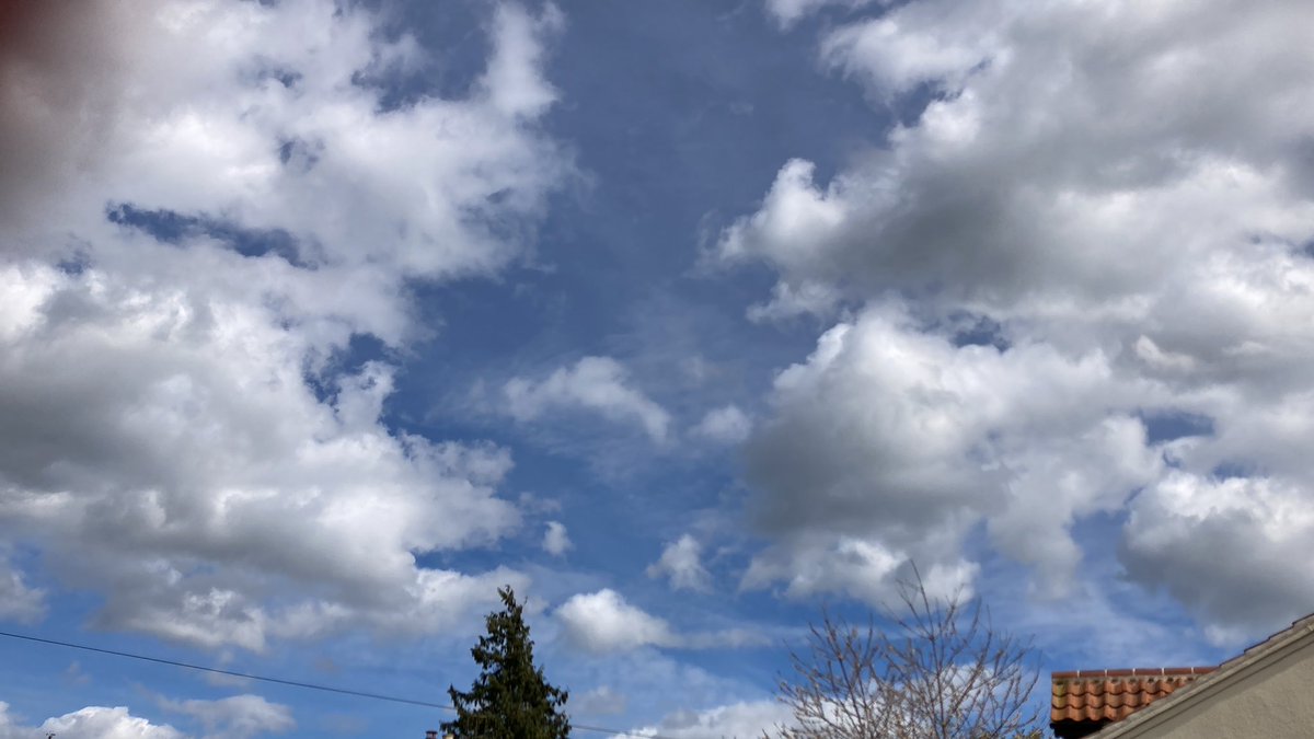 My first swallows off the year over Alysham , heading South this afternoon #SpringIsComing