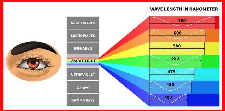 Mike Wazaski 🇲🇽 tweet media