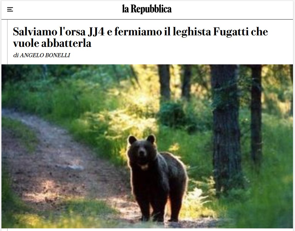 europaverde_it's tweet photo. Abbiamo incendiato e cementificato boschi, sottratto sempre più spazi al mondo animale e ora vogliamo che diventino la nostra dependance urbana. Uccidere animali non è la soluzione per garantire la sicurezza alle persone. 
@AngeloBonelli1 su @repubblica https://t.co/sudRxrxToH https://t.co/7LQ6kncW16