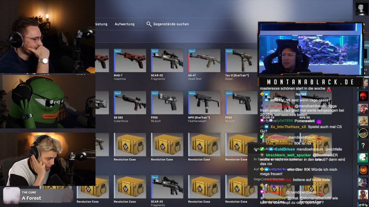 Axellent Alex tweet media