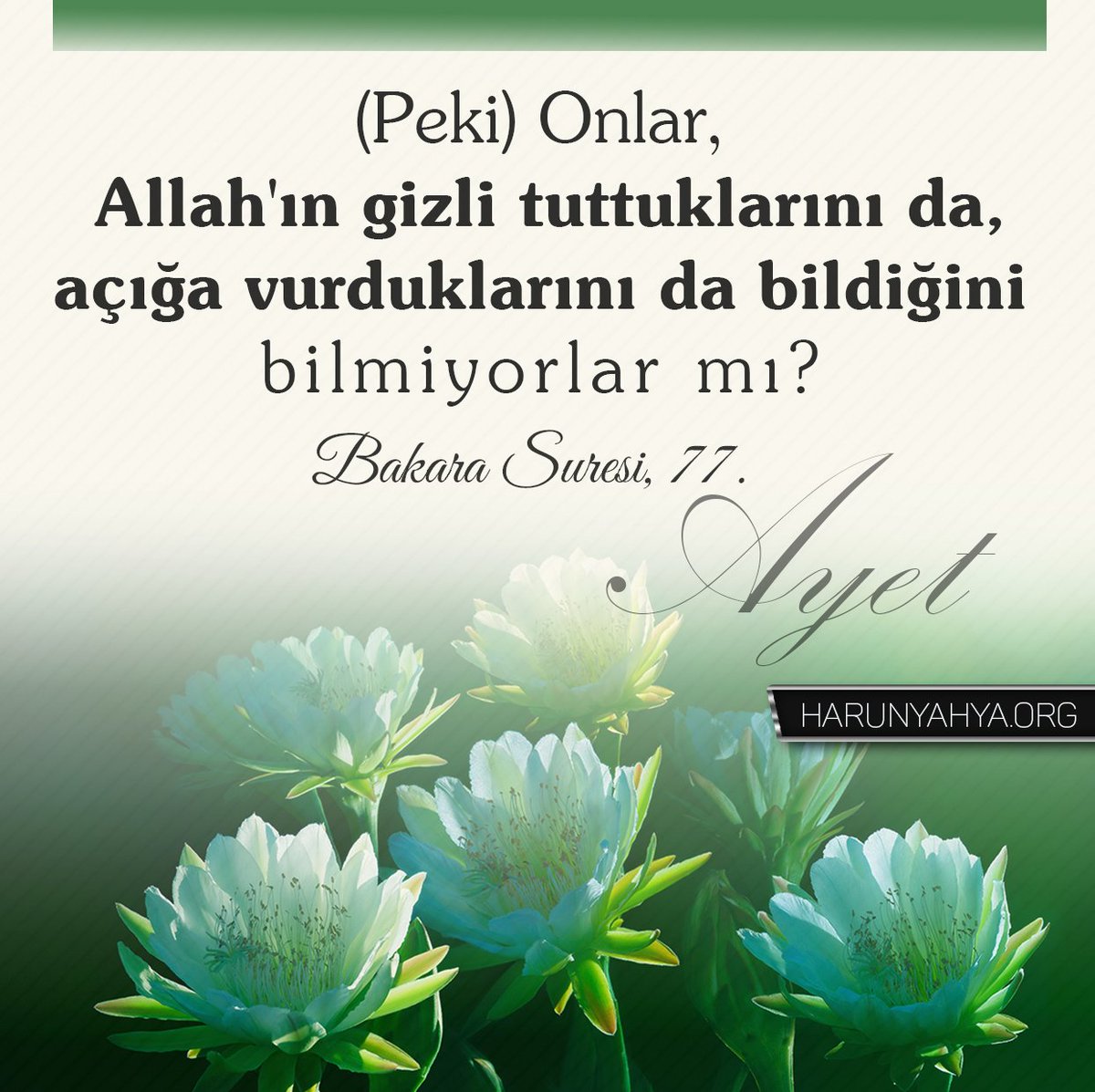 (Peki) Onlar, Allah'ın gizli tuttuklarını da, açığa vurduklarını da bildiğini bilmiyorlar mı?

Bakara suresi, 77