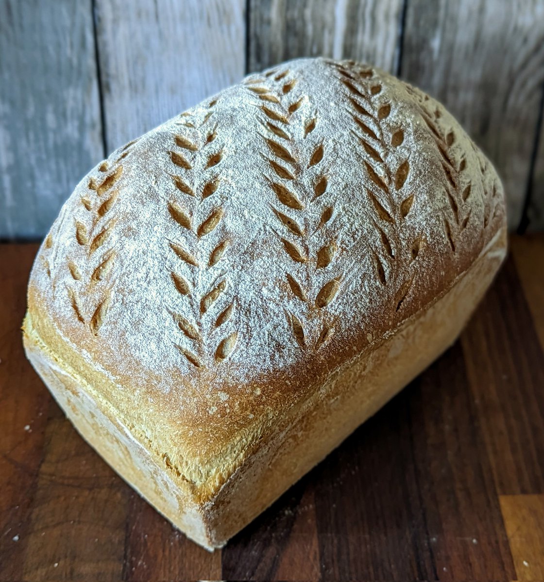 paul_holmes3's tweet photo. A quick crispy white loaf today using @carrs_flour strong white bread flour #bread #breads #artisan #breadphoto #realbread #crispybread https://t.co/uKgQmzcWKi