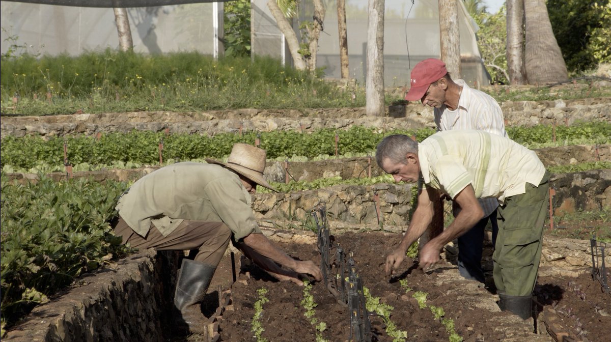 a beltran on Twitter "RT bellybeastcuba U.S. farmers and