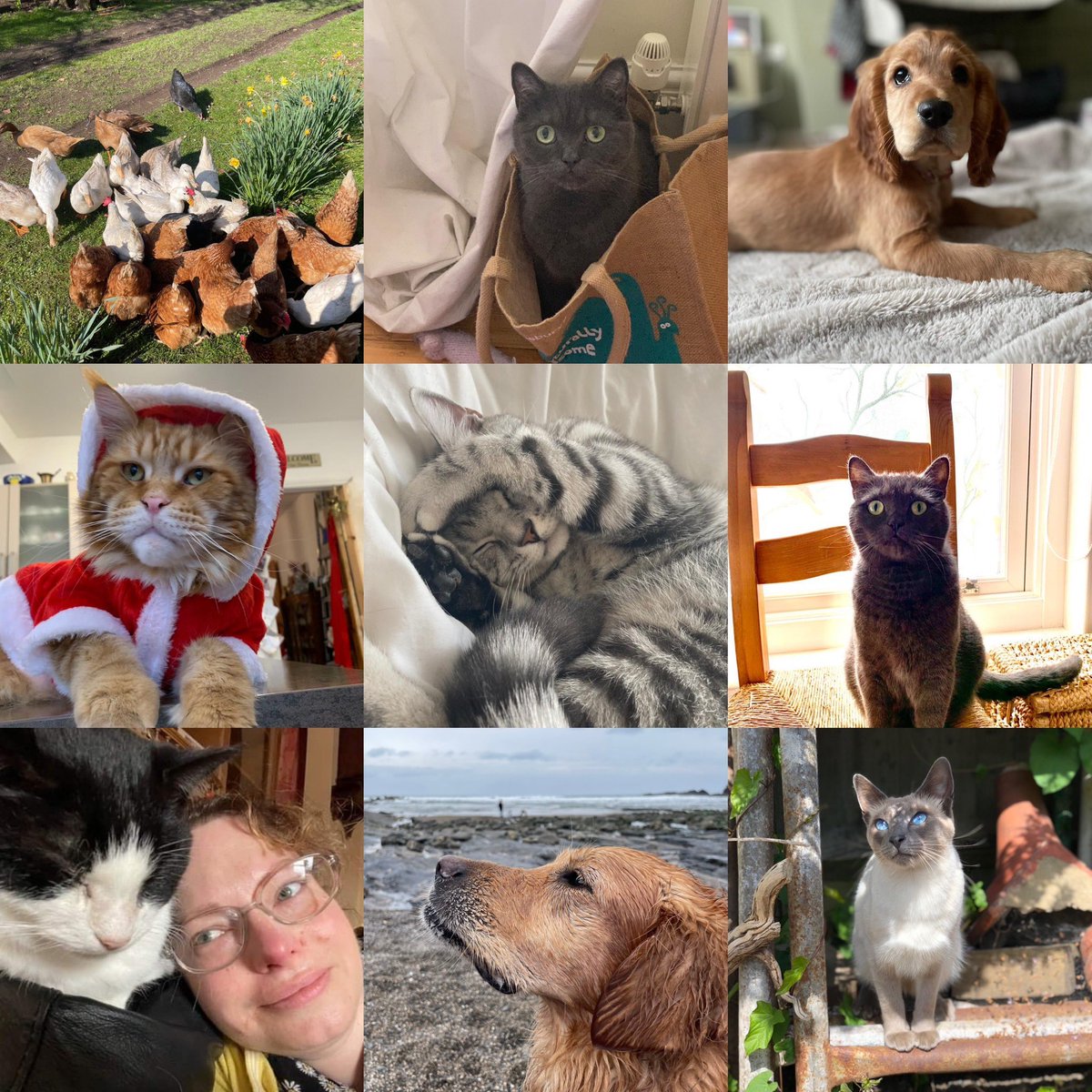 Clover MBU Winchester tweet media