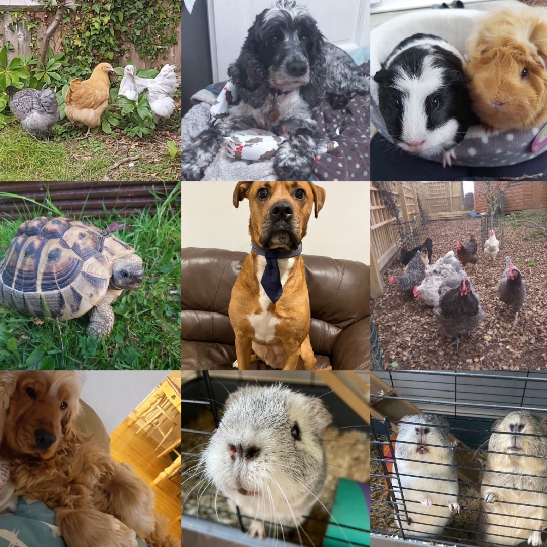 Clover MBU Winchester tweet media