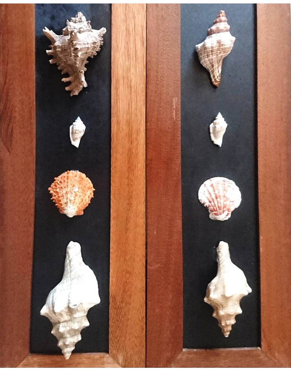 BillyMutu's tweet photo. Shells
Sea Shells on board
12cm x 26cm
Price: $150
Equilibrium in balance. This piece shows balance of different types and shapes of shells as nature thrives in balance. #seashells, #shells https://t.co/qbYclp0YF6