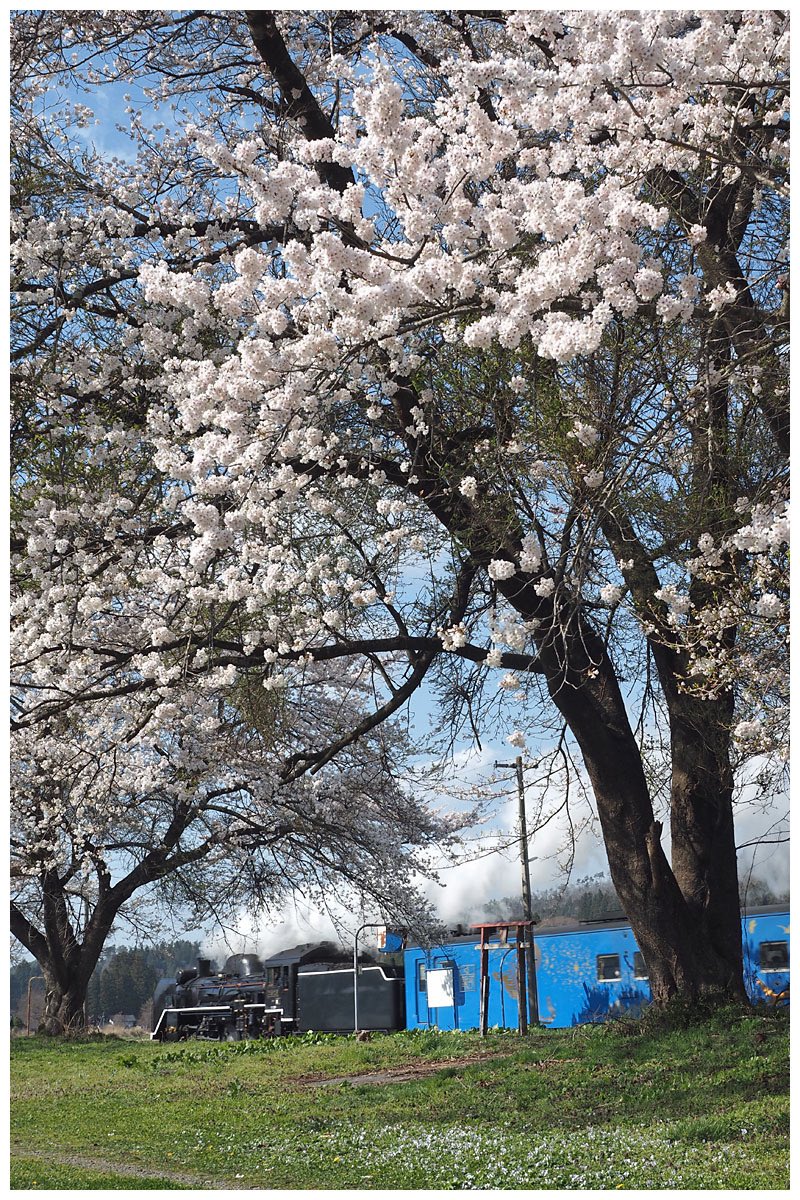 楓ちゃん tweet media